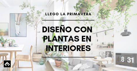 DISEÑO CON PLANTAS EN INTERIORES